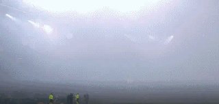 1737585551174018317.gif 费拜05.gif