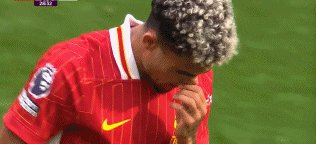 1726929023024046667.gif 利伯28B.gif